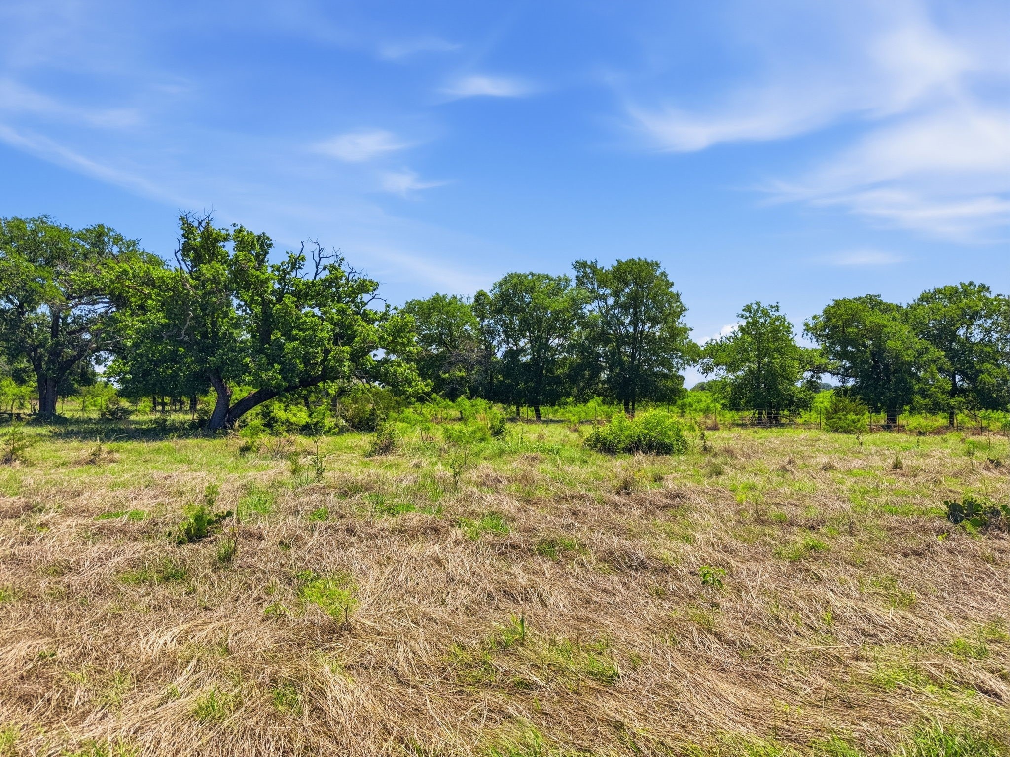 Lot 13 Ph 1 Pr 4219, Evant, TX, 76525