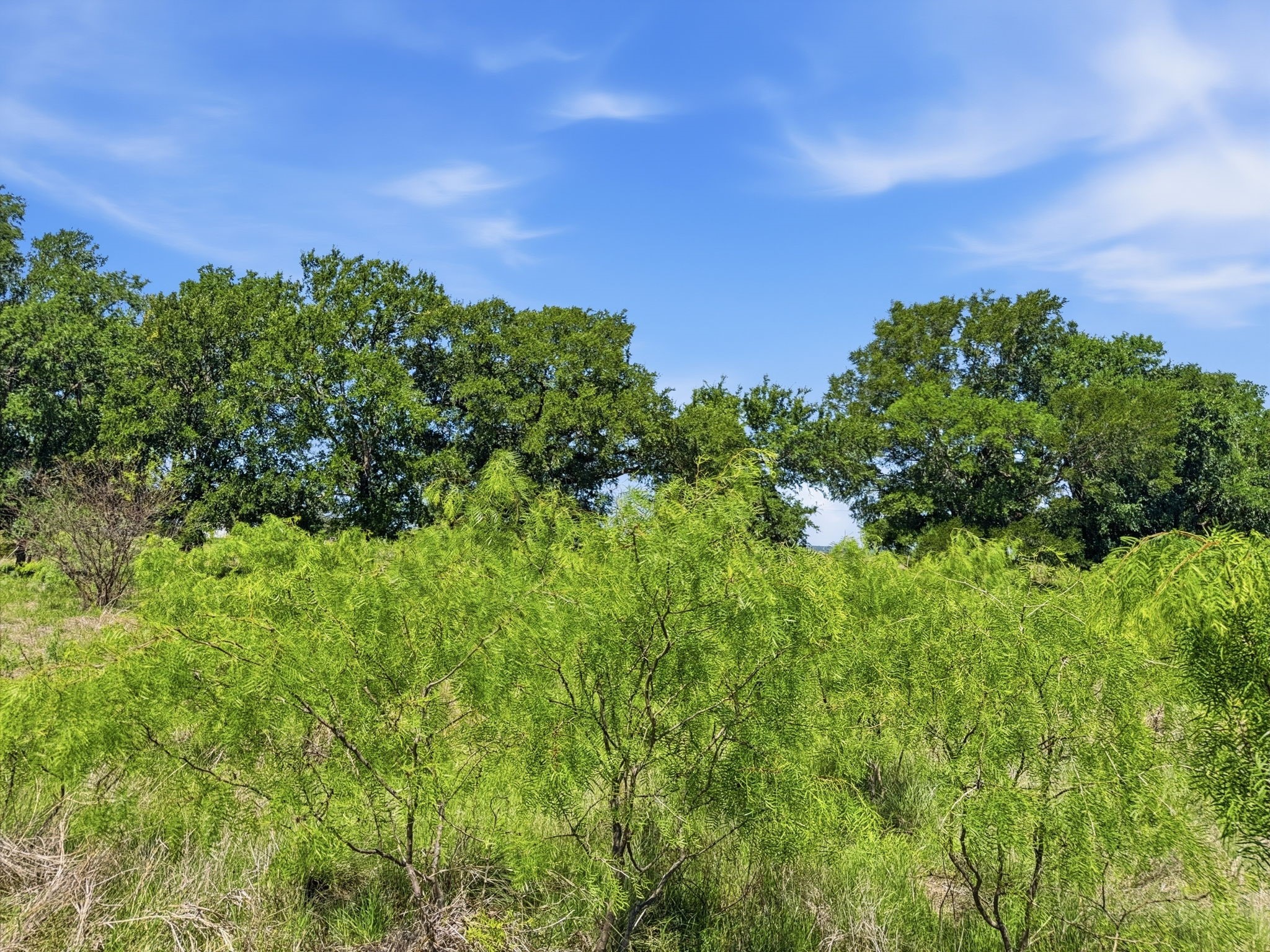 Lot 13 Ph 1 Pr 4219, Evant, TX, 76525