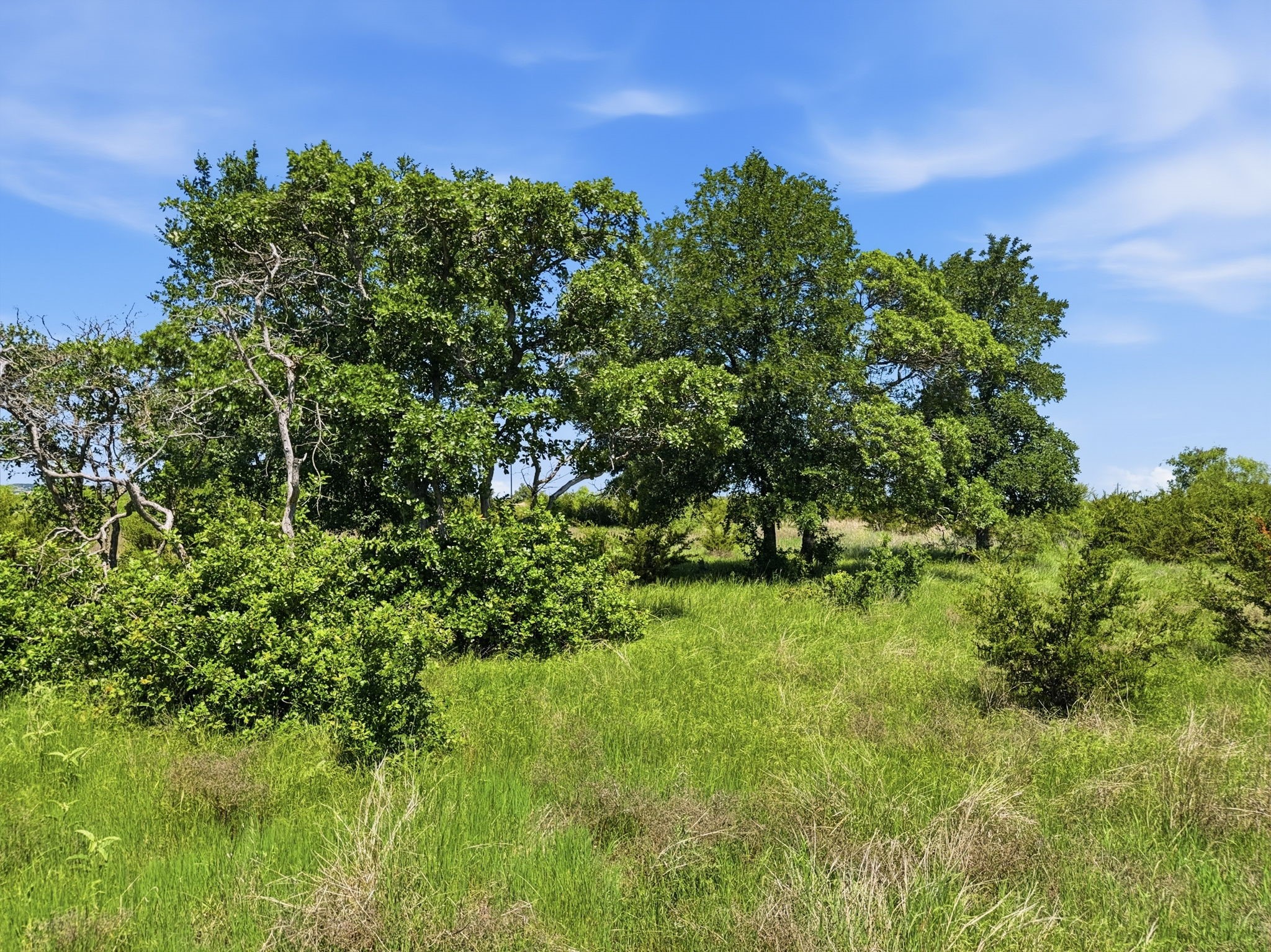Lot 13 Ph 1 Pr 4219, Evant, TX, 76525